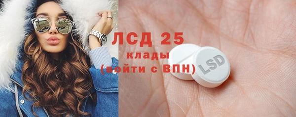 шишки Алзамай