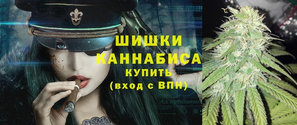 шишки Алзамай