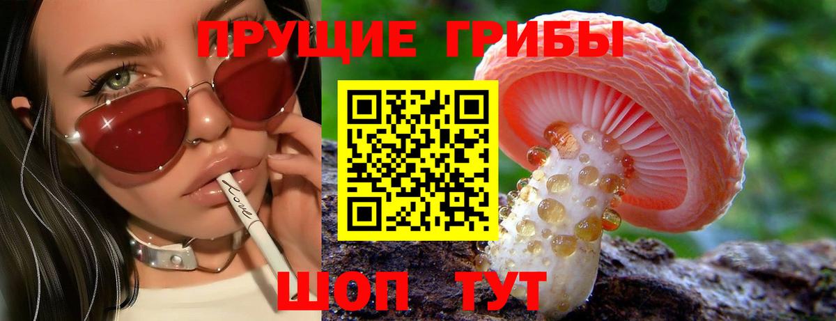 Сунжа  цены наркотик  Вход с VPN  Галлюциногенные грибы Psilocybine cubensis 
