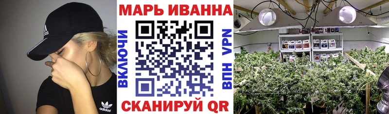 кракен маркетплейс  Сунжа  Шишки марихуана MAZAR  shop телеграм  наркотики 